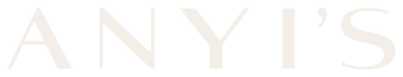 Logo ANYI'S